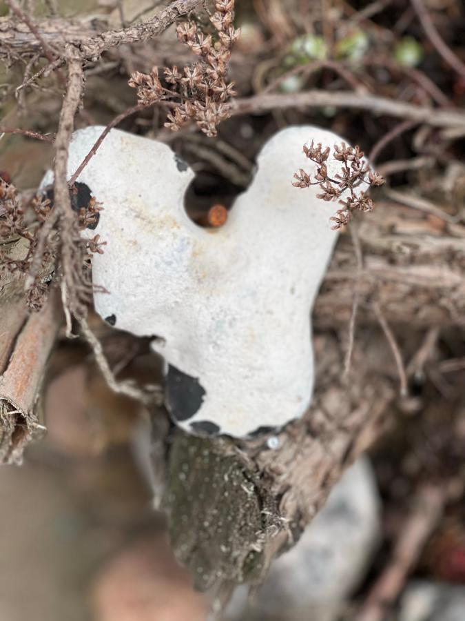 Schatzinsel Schkeuditz Exteriör bild