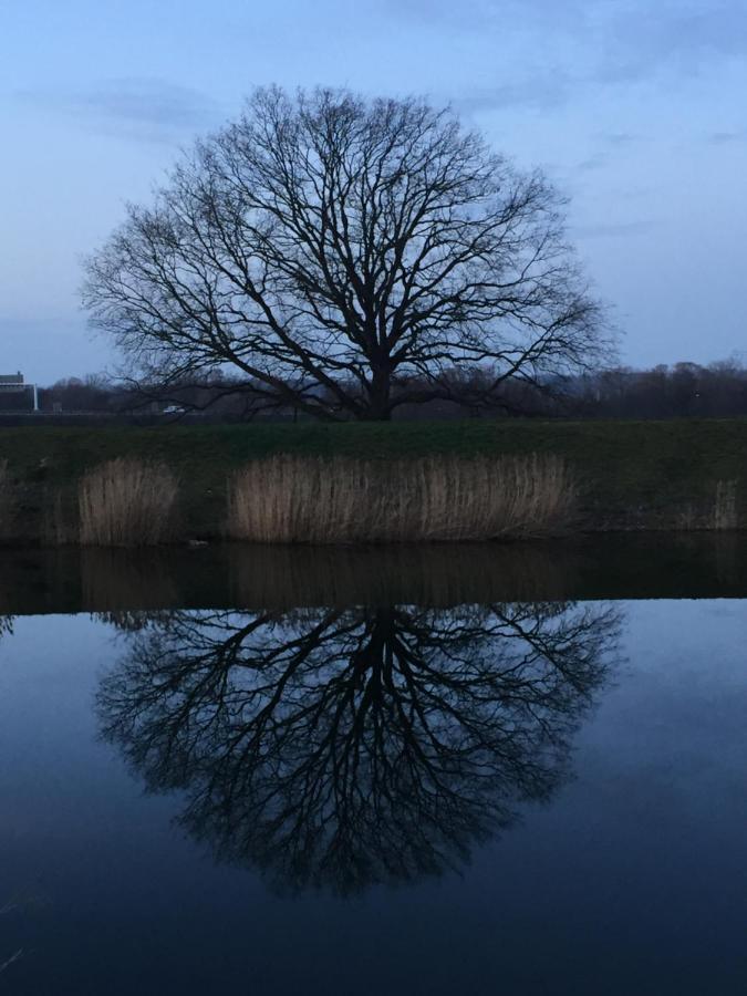 Schatzinsel Schkeuditz Exteriör bild